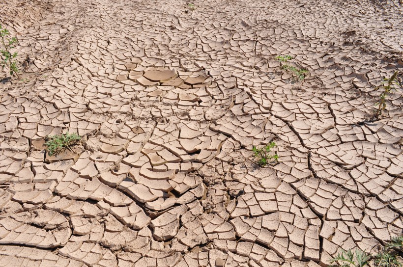 点击大图看下一张：干旱的土地图片
