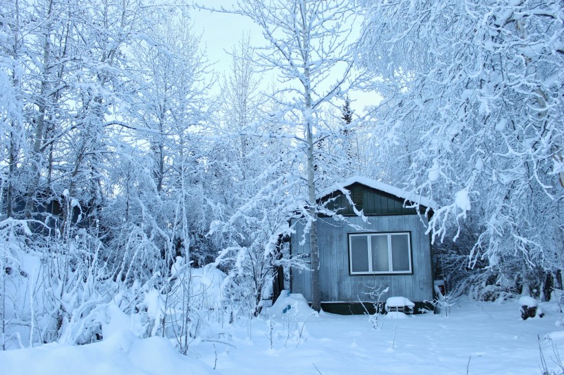 点击大图看下一张：雪中的小屋图片