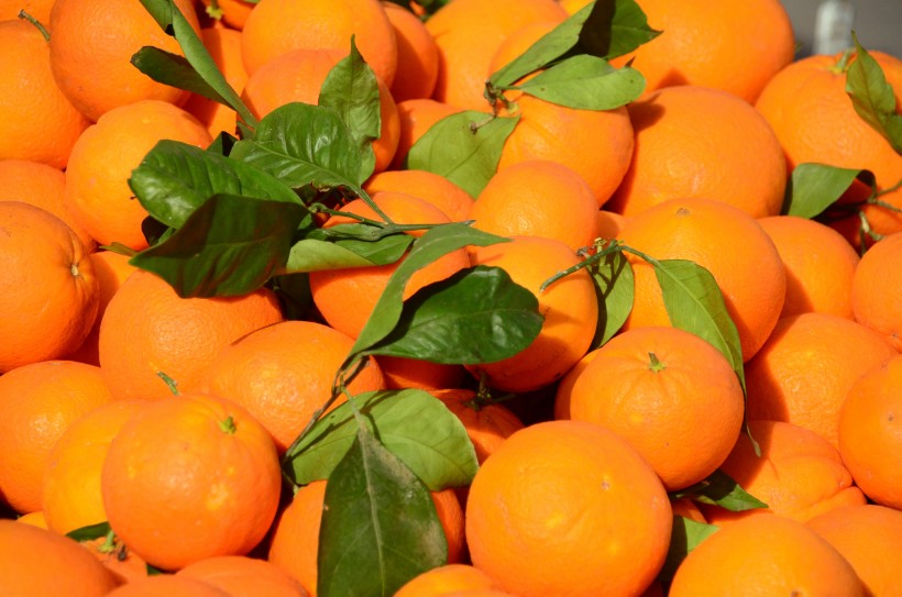 点击大图看下一张：又酸又甜的橘子图片