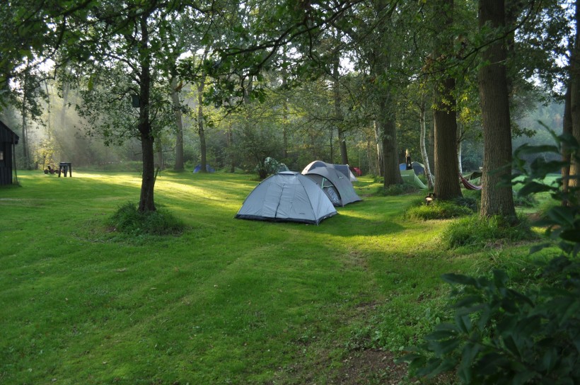 点击大图看下一张：野外露营搭建的帐篷图片