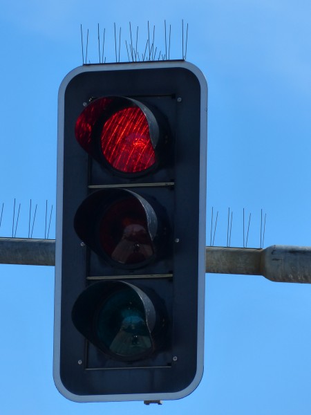 点击大图看下一张：道路上的红绿灯图片