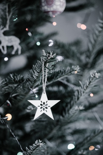 点击大图看下一张：圣诞树上的装饰图片
