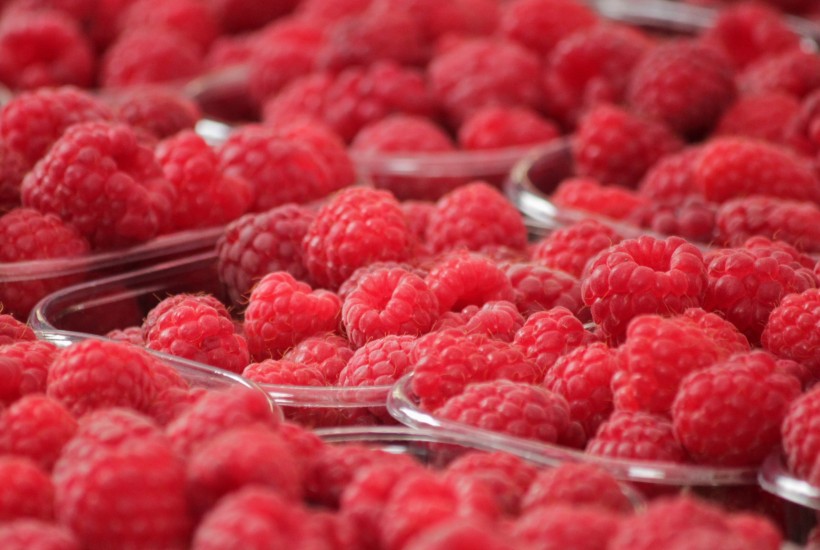 点击大图看下一张：酸甜可口的红莓图片