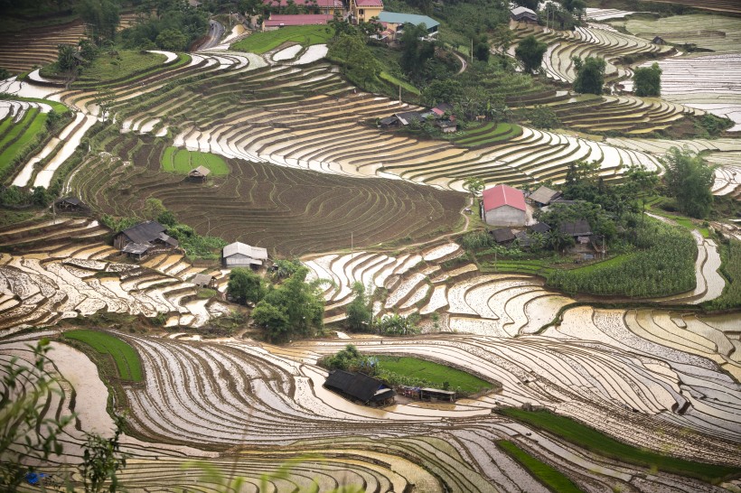 点击大图看下一张：越南乡村田园风景图片