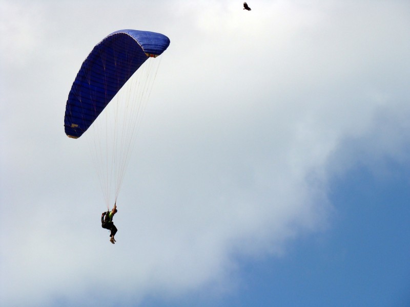 点击大图看下一张：有挑战性的滑翔伞运动图片