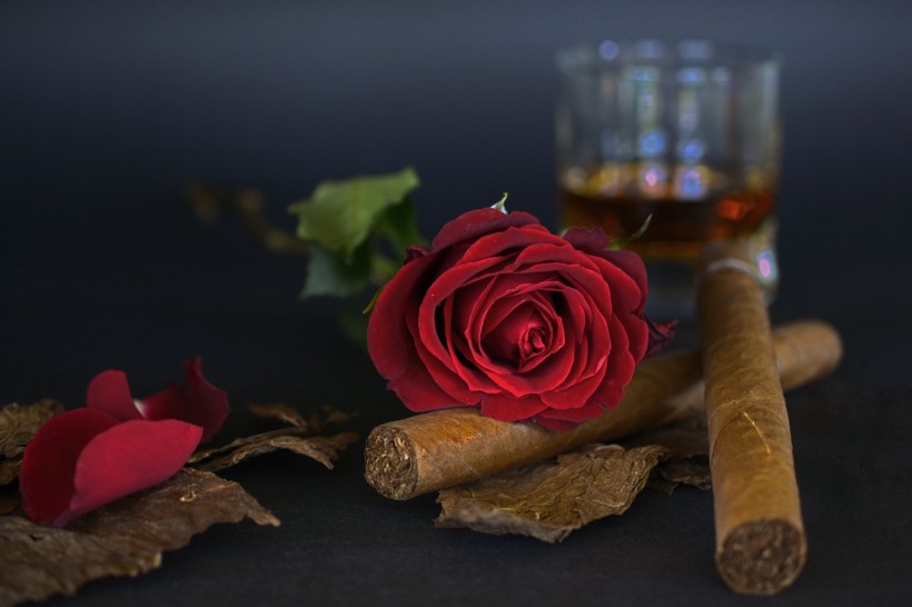 点击大图看下一张：雪茄、玫瑰和啤酒放置一起图片
