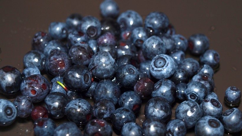 点击大图看下一张：小巧精致的蓝莓图片