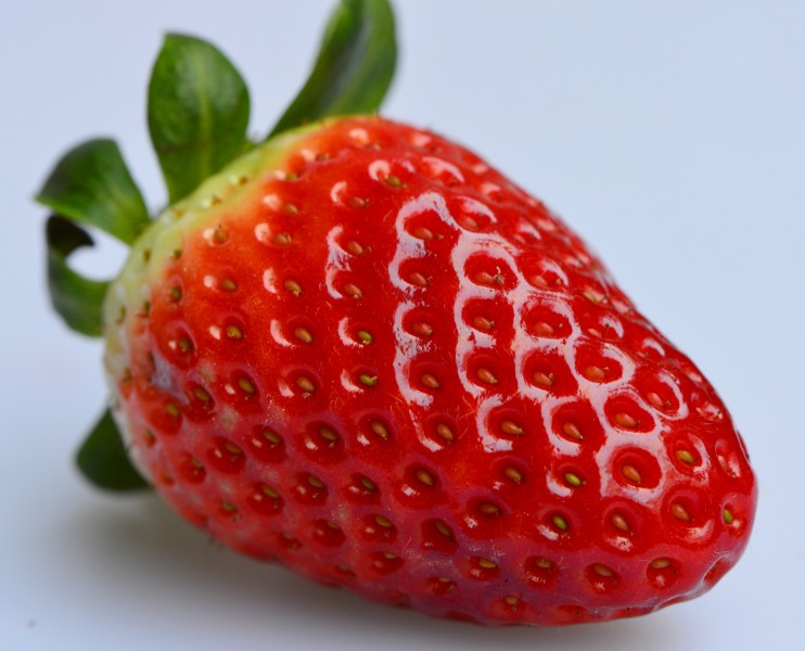 点击大图看下一张：一颗熟透的草莓图片