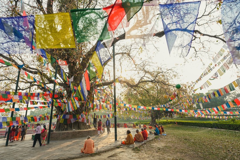 点击大图看下一张：尼泊尔蓝毗尼释迦摩尼诞生地菩提树风景图片