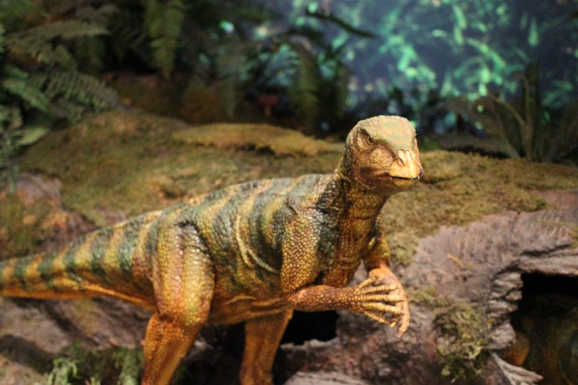 点击大图看下一张：白垩纪时期的恐龙模型图片