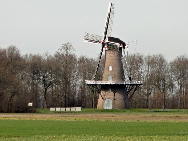 点击大图看下一张：高大的荷兰风车图片
