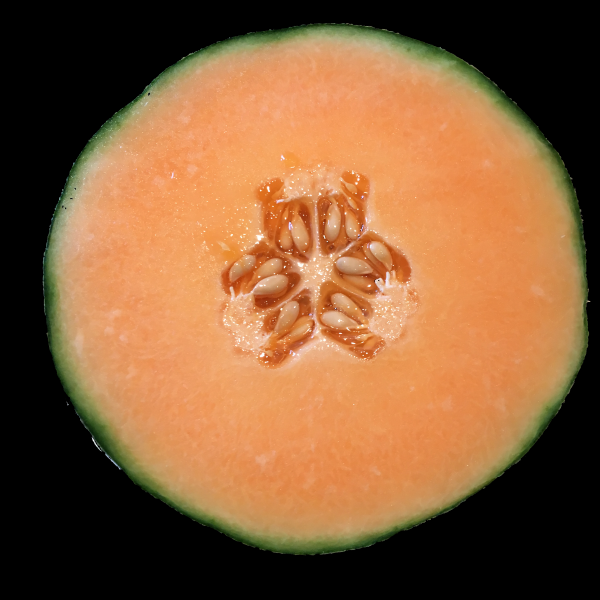 点击大图看下一张：脆甜好吃的哈密瓜图片