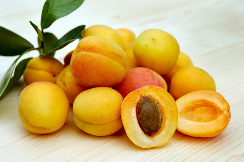 点击大图看下一张：夏季成熟的杏子图片