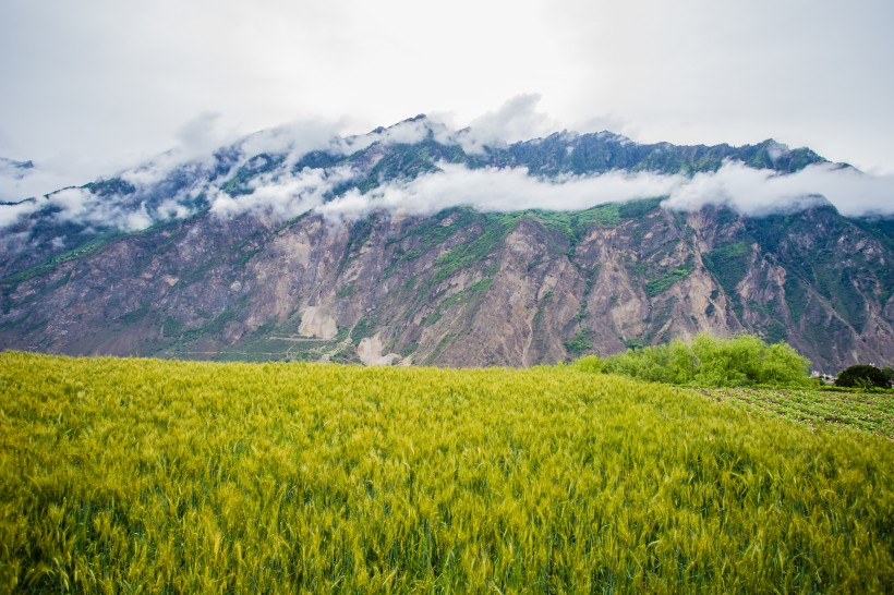 点击大图看下一张:四川甘孜甲居藏寨风景图片