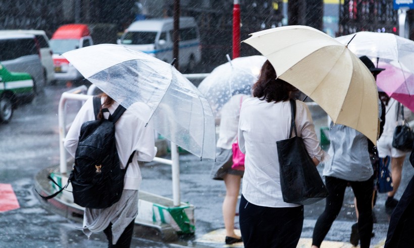 点击大图看下一张：雨天街道打伞的人们图片