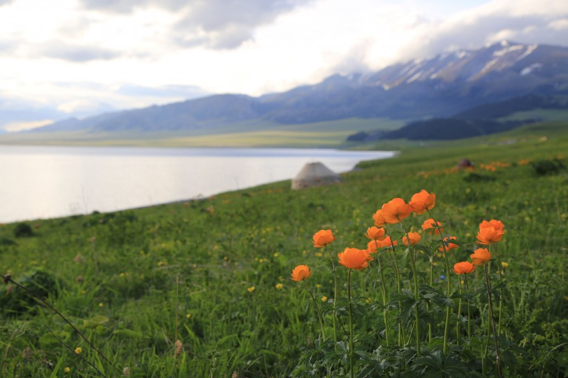 点击大图看下一张：美丽的新疆赛里木湖风景图片
