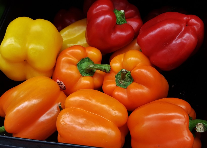 点击大图看下一张：日常食用的柿子椒图片