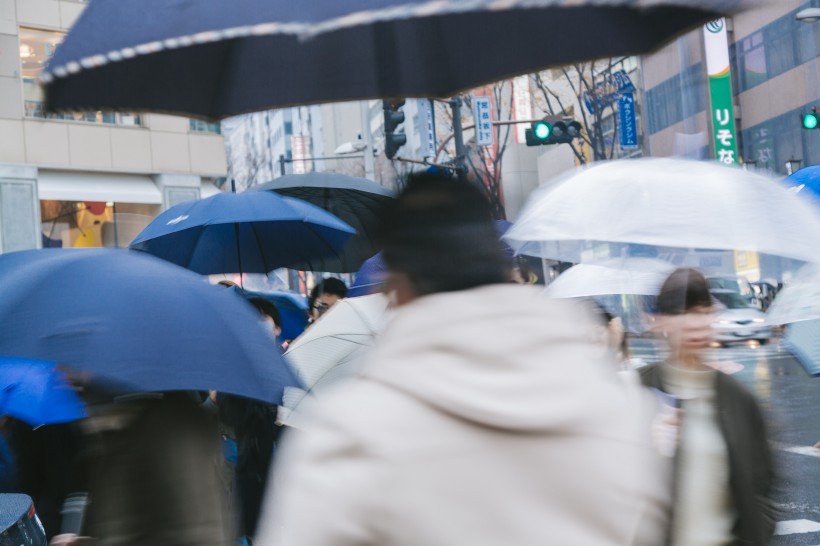 点击大图看下一张：雨天街道打伞的人们图片