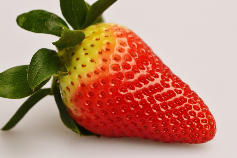 点击大图看下一张：一颗熟透的草莓图片