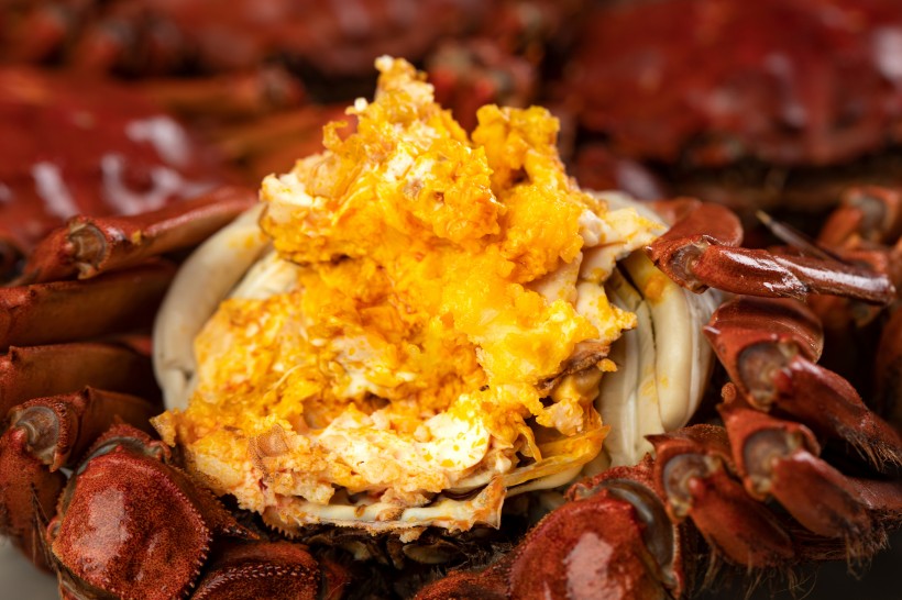 点击大图看下一张：美味又蟹黄的大闸蟹图片