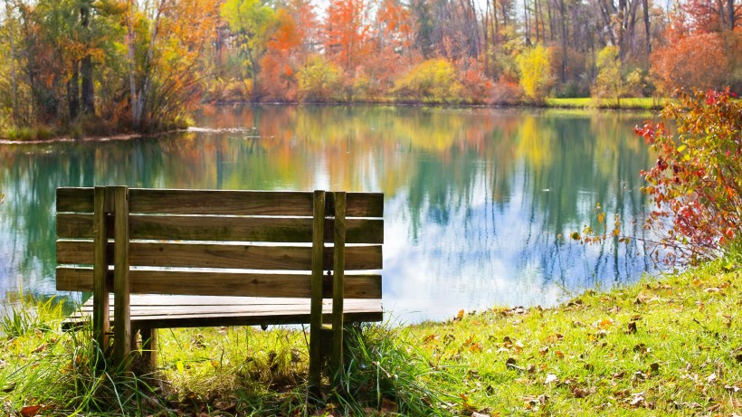 点击大图看下一张：秋天公园里的长椅图片