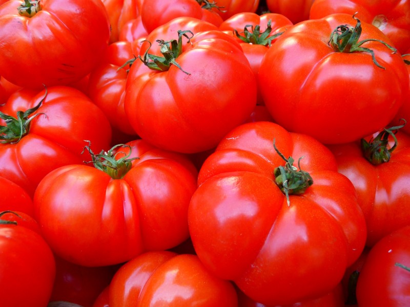 点击大图看下一张：新鲜美味的番茄图片