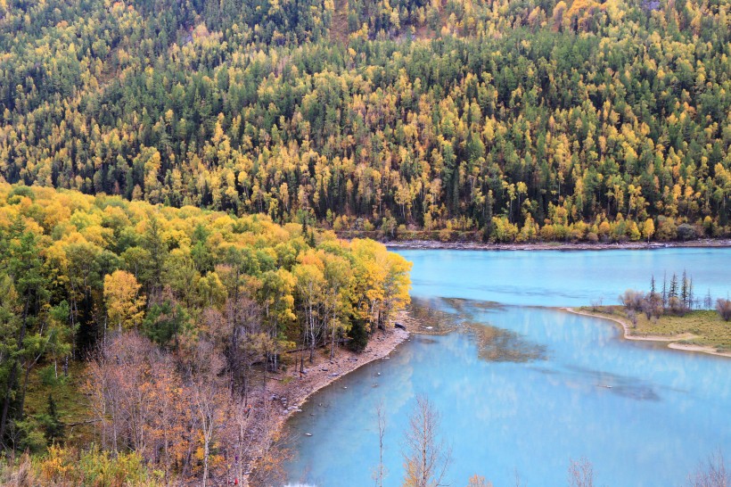 点击大图看下一张：新疆喀纳斯迷人的秋季自然风景图片