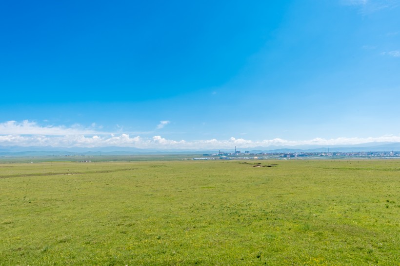 点击大图看下一张：青海夏季草原自然风景图片