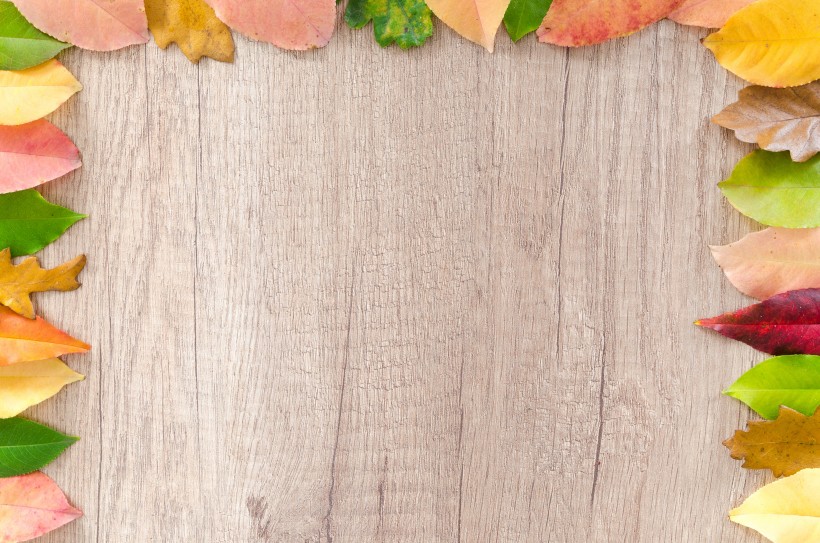点击大图看下一张：放着叶子的木板背景素材图片