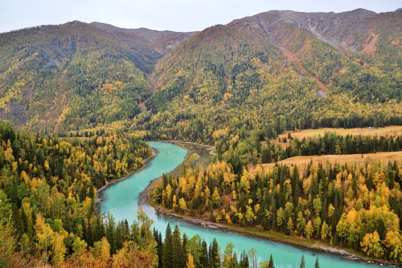 点击大图看下一张：新疆喀纳斯迷人的秋季自然风景图片