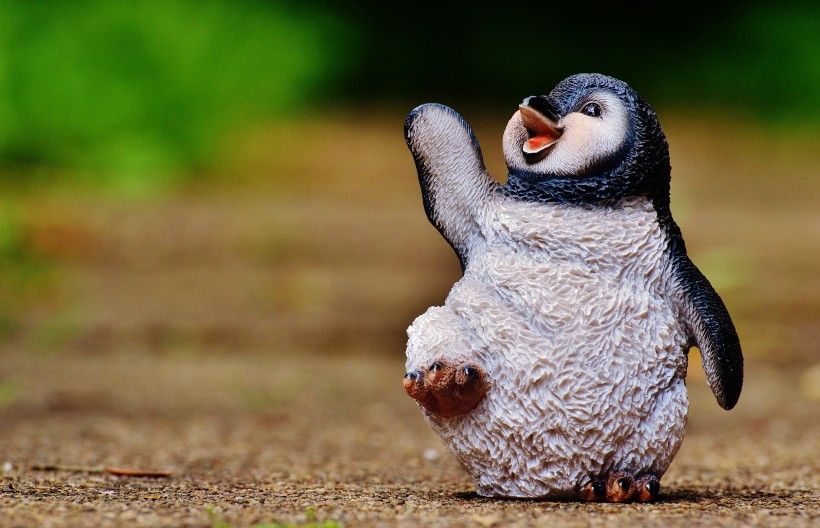 点击大图看下一张：小小的企鹅玩具图片