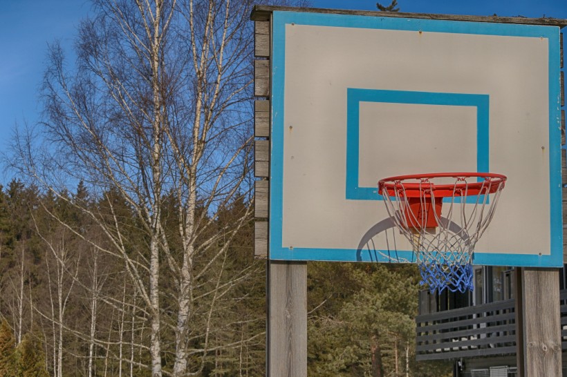 点击大图看下一张： 篮球架上的篮球框图片