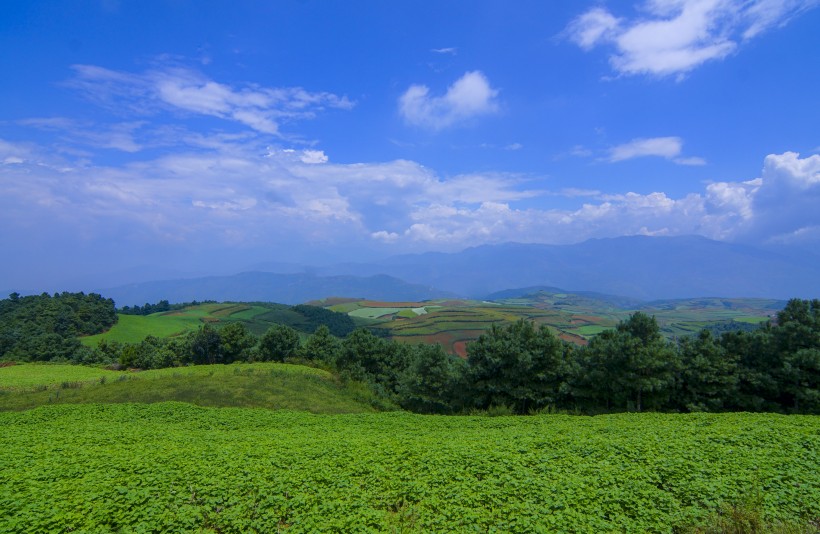 点击大图看下一张：云南东川红土地自然风景图片