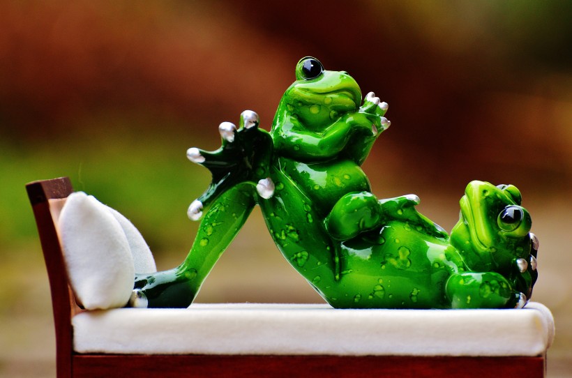 点击大图看下一张：有趣的玩具青蛙图片