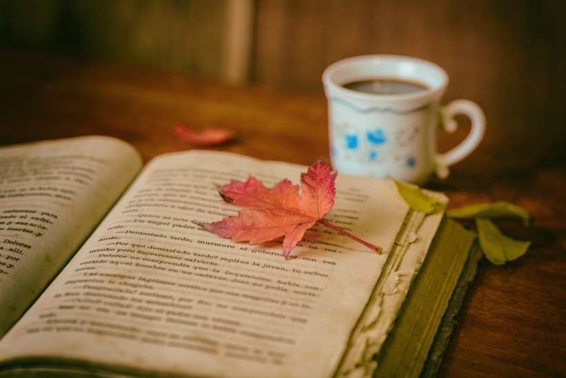 点击大图看下一张：一边看书一边享受下午茶的图片
