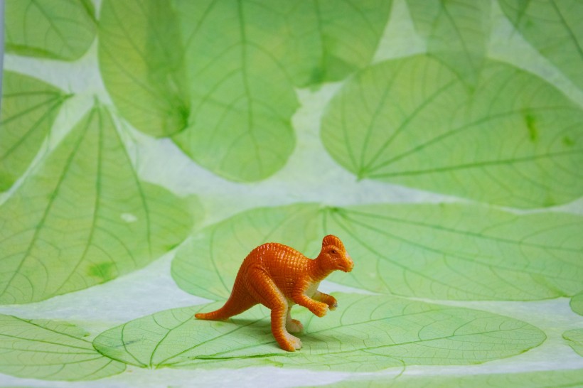 点击大图看下一张：恐龙玩具模型图片