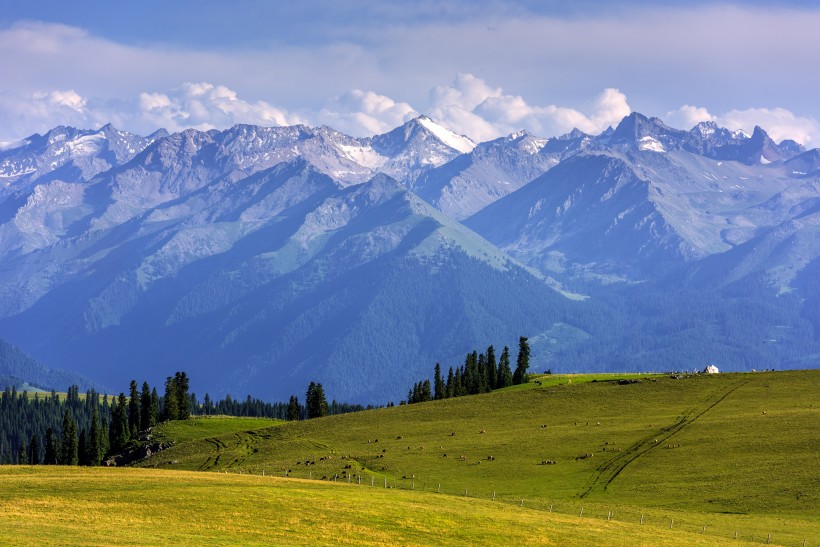 点击大图看下一张：新疆伊犁喀拉峻大草原自然风景图片