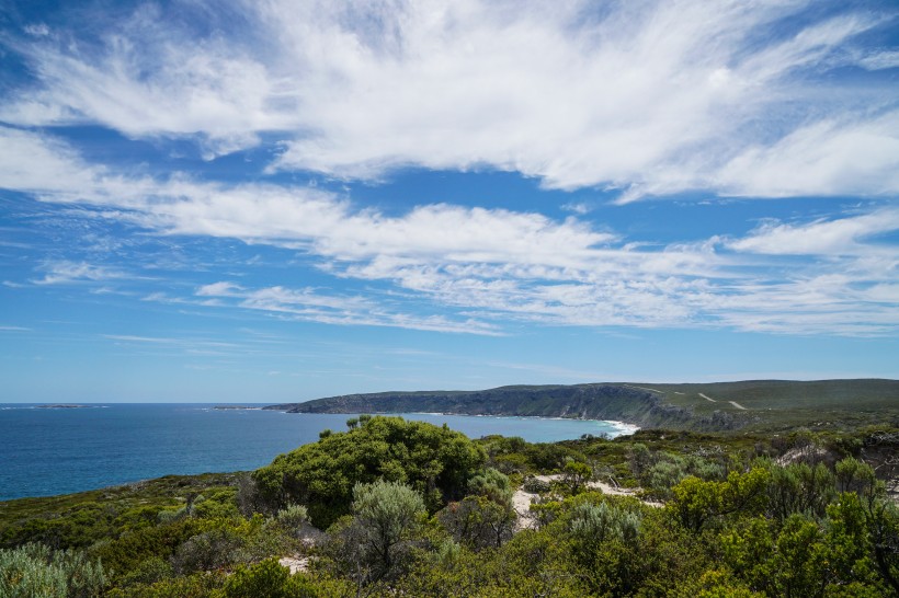 点击大图看下一张：澳大利亚袋鼠岛和汉密尔顿岛风景图片