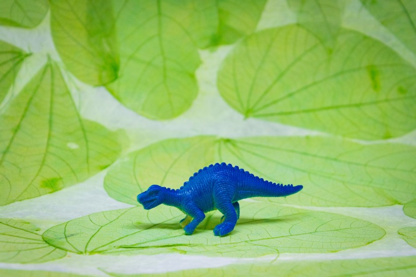 点击大图看下一张：恐龙玩具模型图片
