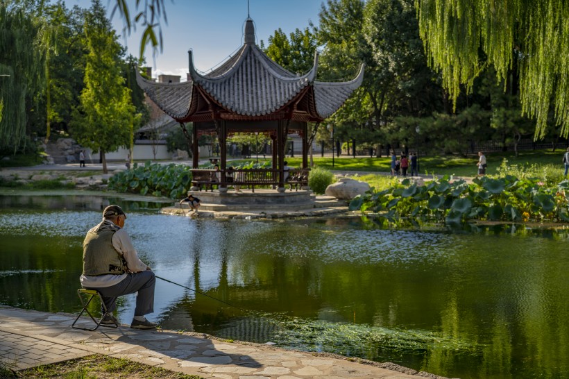 点击大图看下一张：北京陶然亭公园风景图片