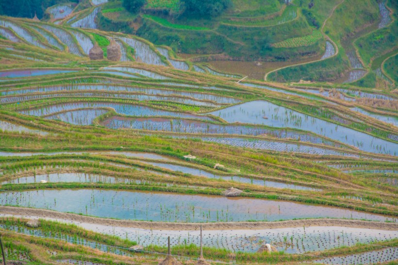 点击大图看下一张：贵州黔东南苗族侗族自治州肇兴侗寨自然风景图片