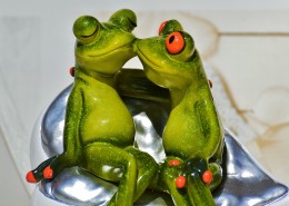 有趣的玩具青蛙图片_14张