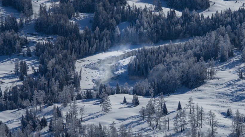 点击大图看下一张：冬季白雪覆盖的森林图片