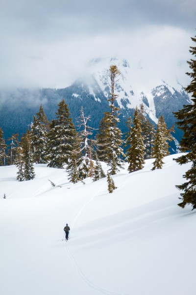 点击大图看下一张：冬季白雪覆盖的森林图片