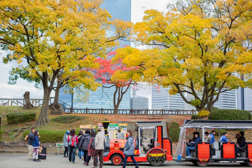 点击大图看下一张：日本大阪迷人秋季风景图片