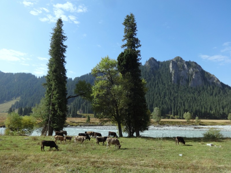 点击大图看下一张：大美新疆自然风景图片