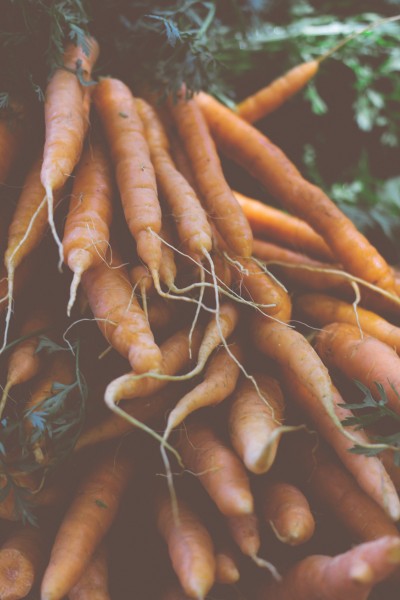 点击大图看下一张：有营养的胡萝卜图片