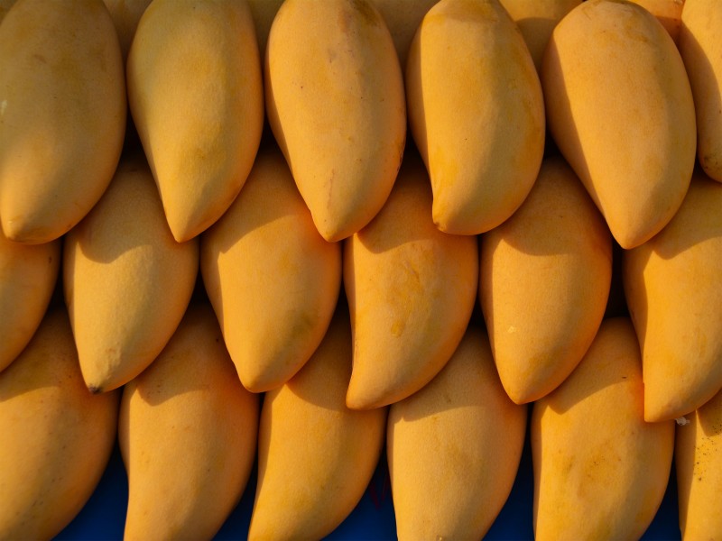 点击大图看下一张：香甜的芒果图片