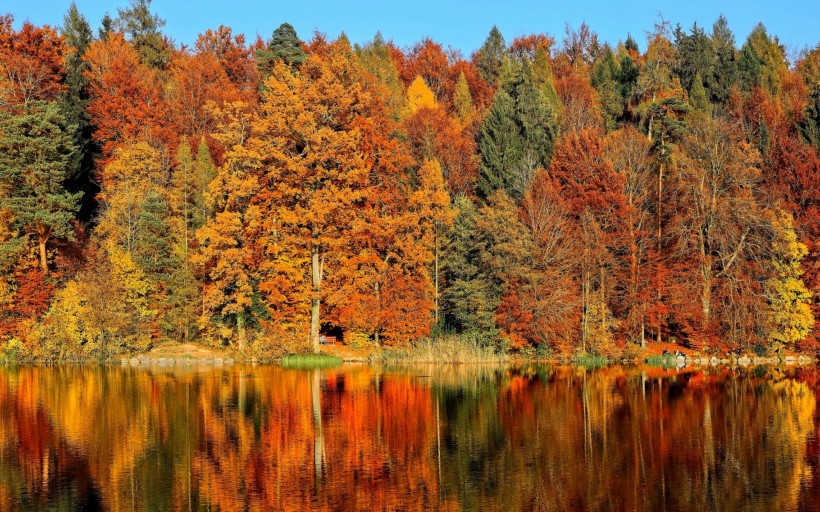 点击大图看下一张：唯美而让人沉醉的秋季风景图片