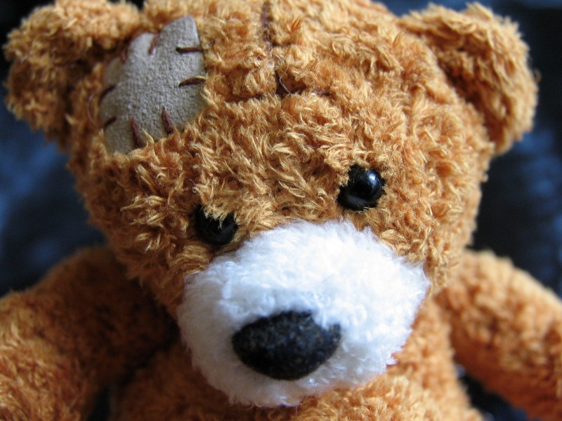 点击大图看下一张：可爱的泰迪熊玩具图片